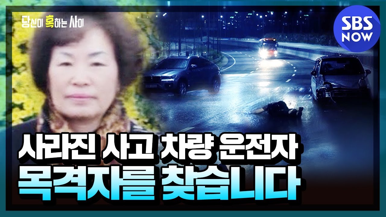 [당신이 혹하는 사이] 요약 '사고난 차량 운전자가 사라졌다! 빗길 위 의문의 교통사고, 진실은? ' | SBS NOW