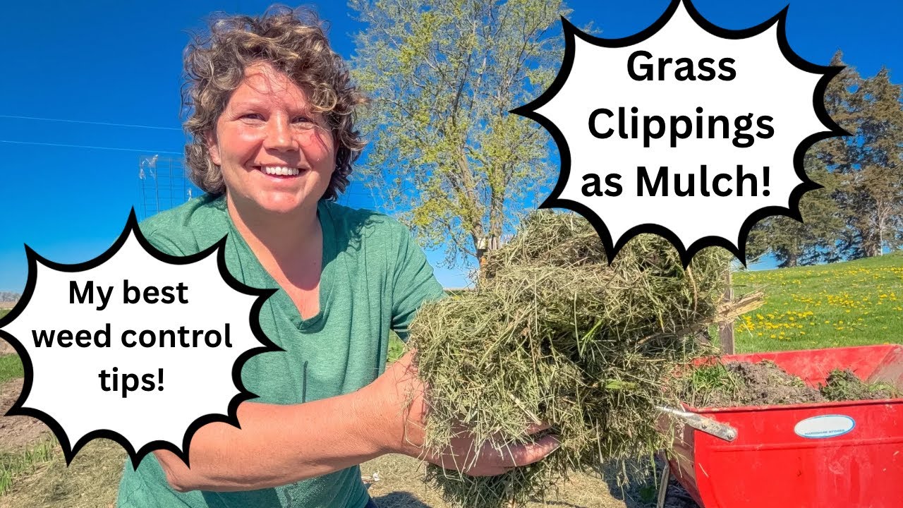 How To Use Grass Clippings On Your Garden! Plus More Weed Control Tips!