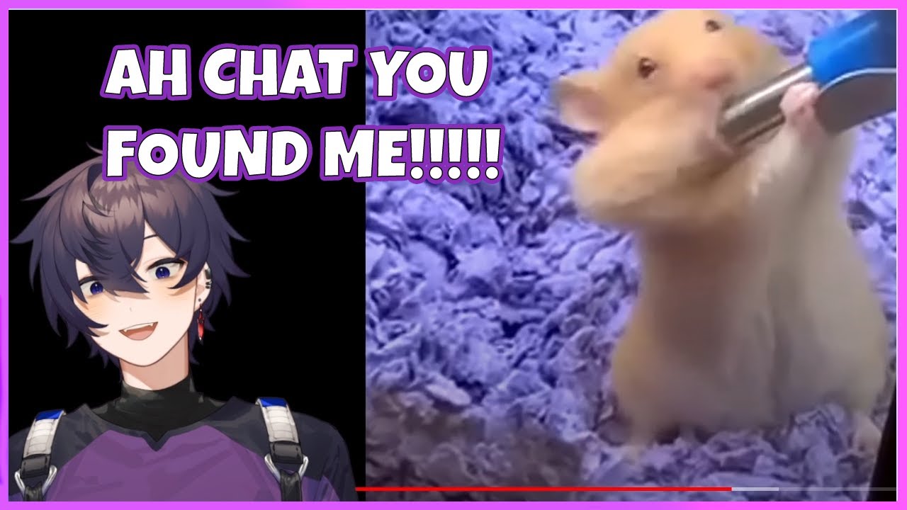 We Found Shoto