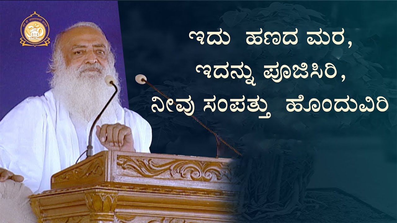 ಇದು ಹಣದ ಮರ, ಇದನ್ನು ಪೂಜಿಸಿರಿ, ನೀವು ಸಂಪತ್ತು  ಹೊಂದುವಿರಿ
