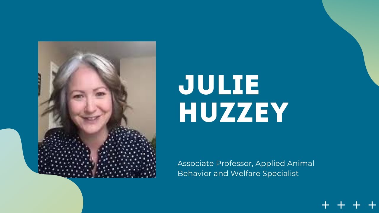 Interview with an Animal Behaviorist