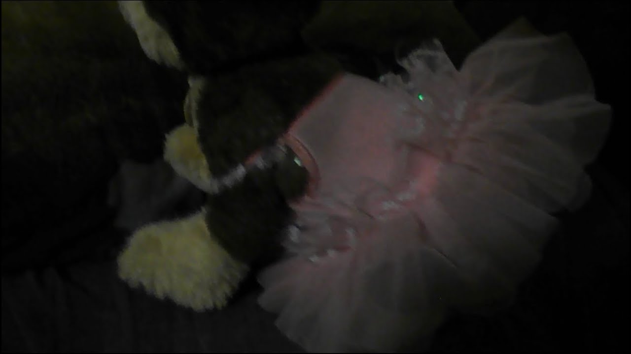Chase wakes up in a ballerina dress 😅