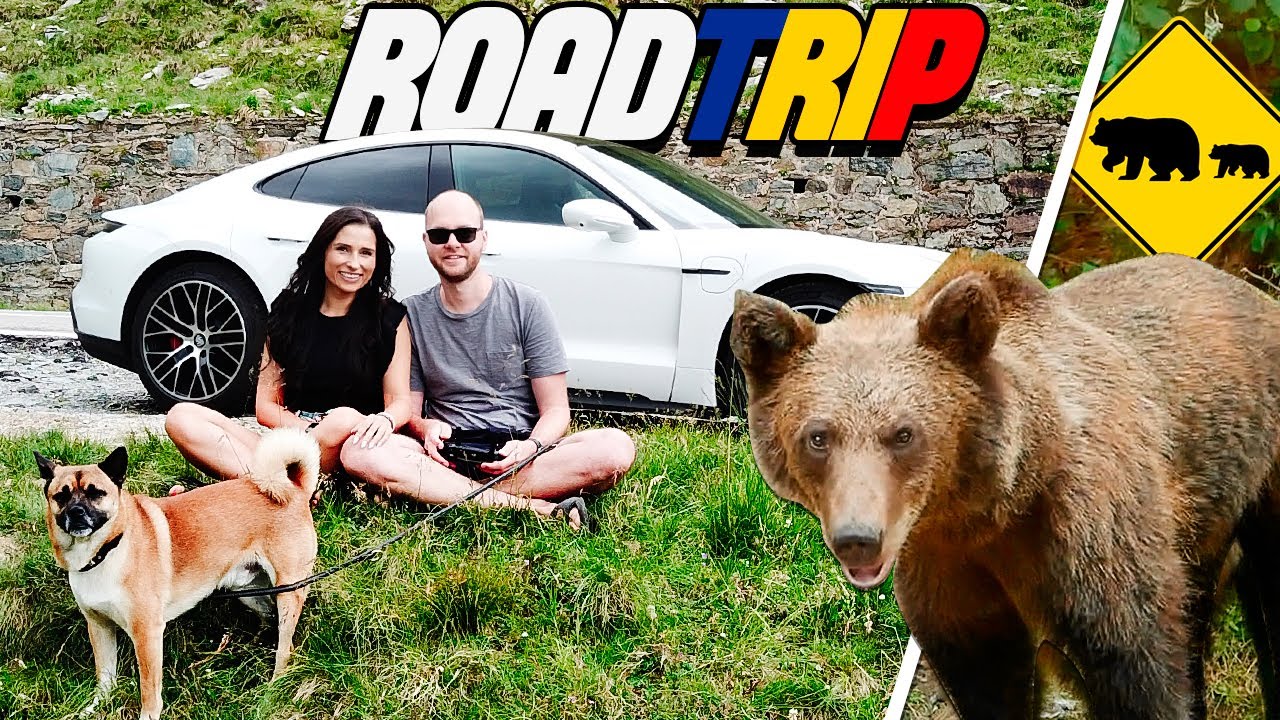 Wilde Bären vs. Porsche Taycan - Transfagarasan beim Rumänien Roadtrip
