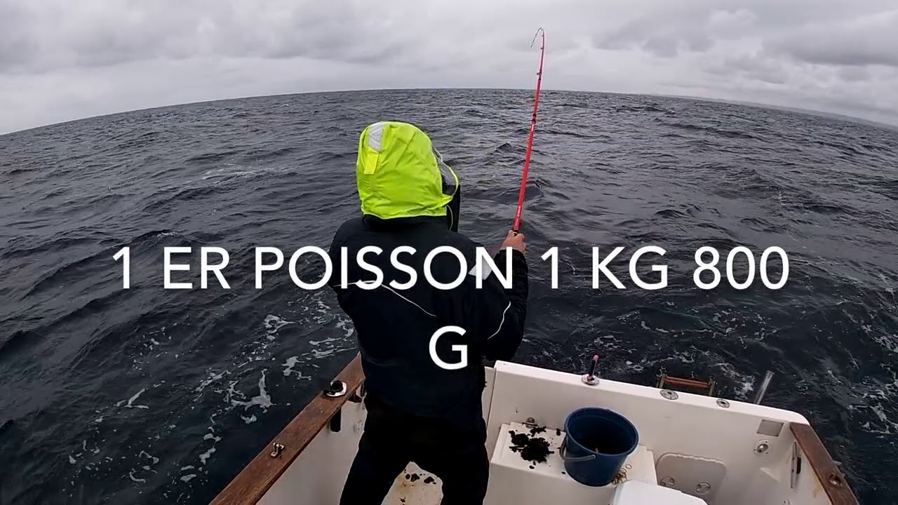 tuto comment pecher la daurade avec une petite moule et un trident