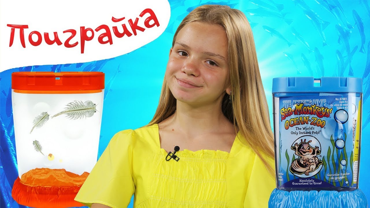 Аквариум Sea Monkeys Вырасти Рыбку - РАСПАКОВКА - Поиграйка с Евой