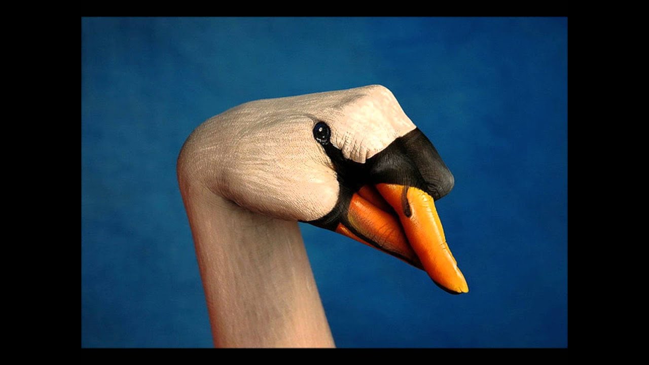 Swanblood - Dysphoria and Therianthropy, Part 1
