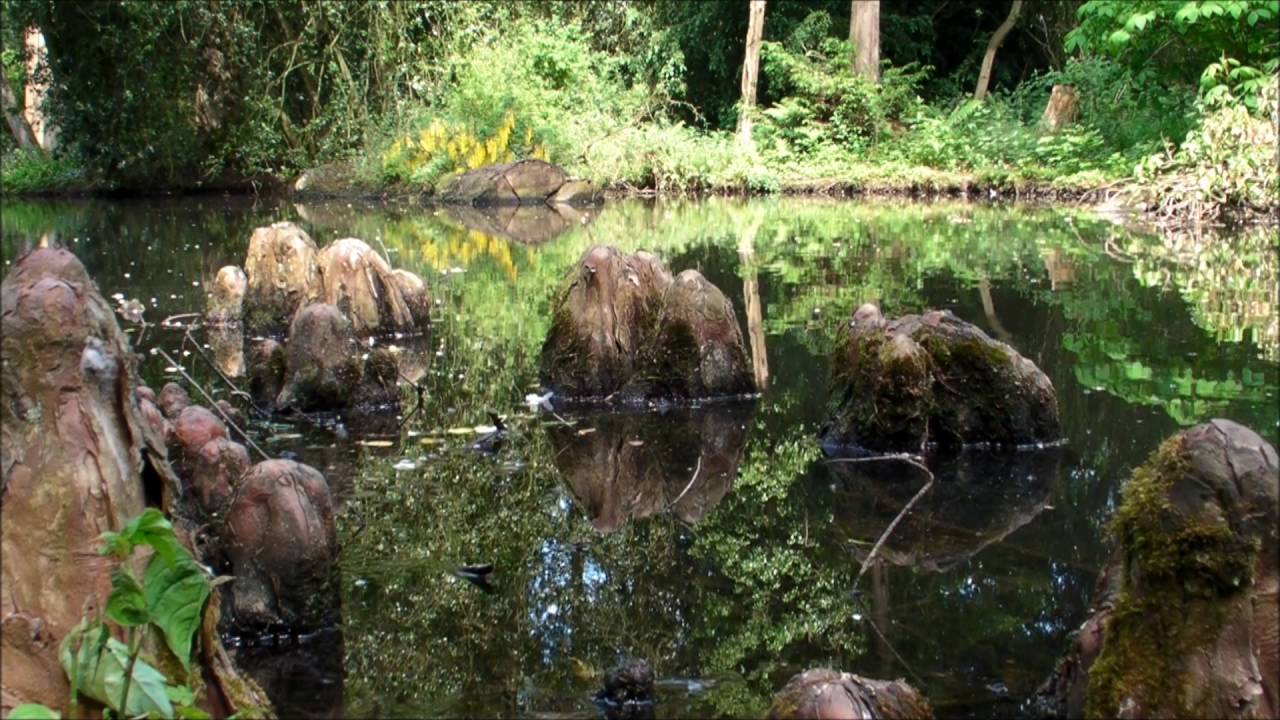 MADONNA - stimmig hoch 3 - spirituelle Improvisation