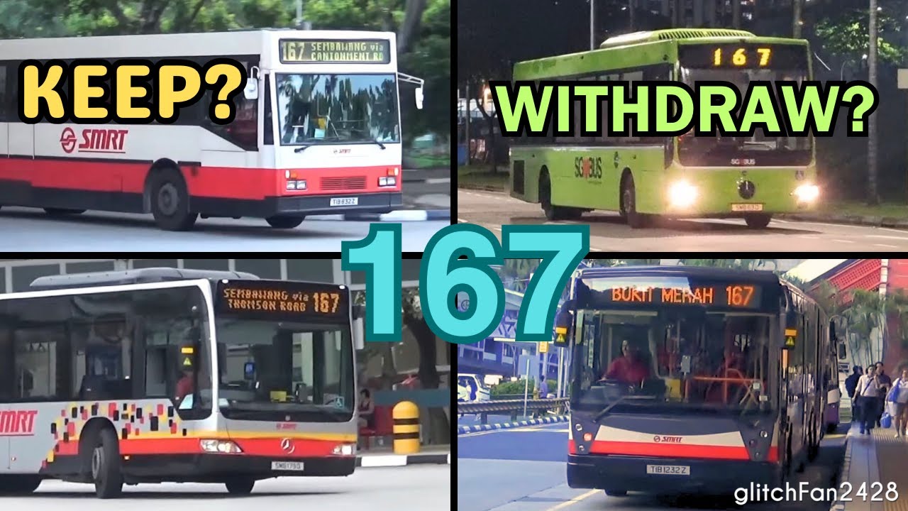 Why Bus 167 Might Just Be Your Personal Chauffeur
