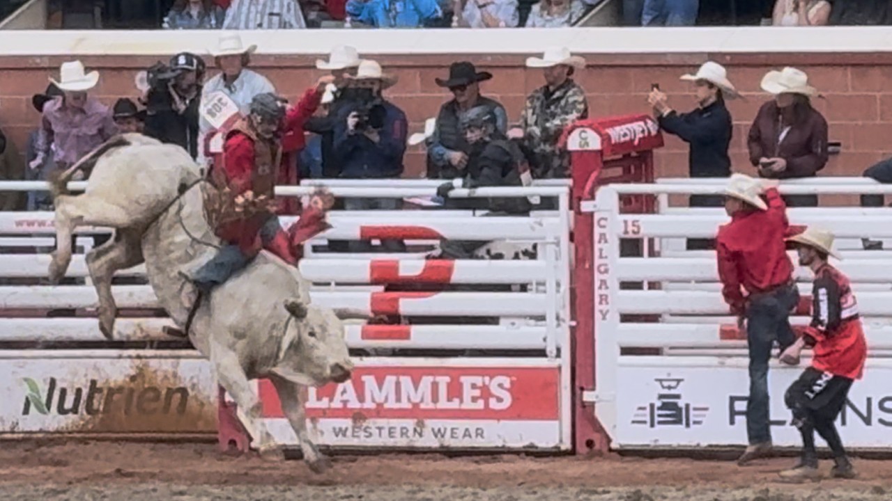 Calgary Stampede 2026 Bull Riding | Pool A Finals | July 5, 2026 | Full Rodeo Event