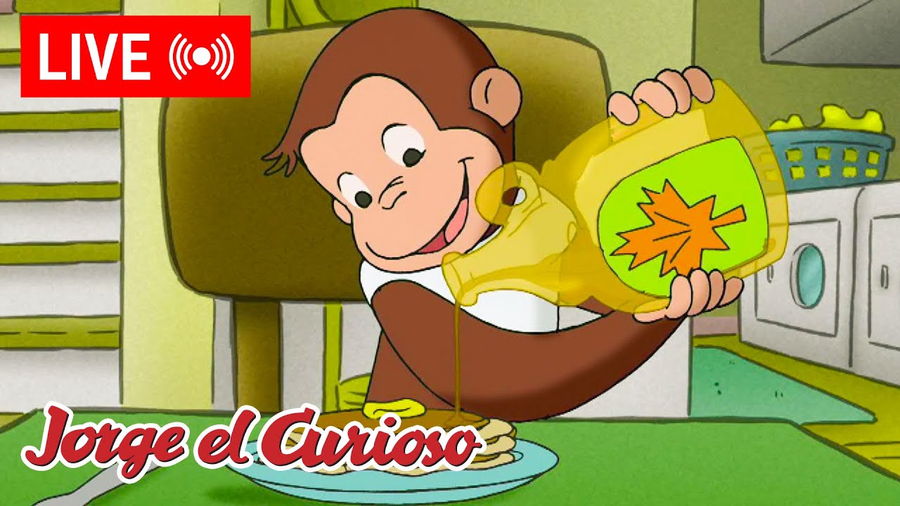 LIVE 🔴 Episodios de Jorge El Curioso 🐵 ¿Un árbol de jarabe de maple? 🍁🥞  + Más!