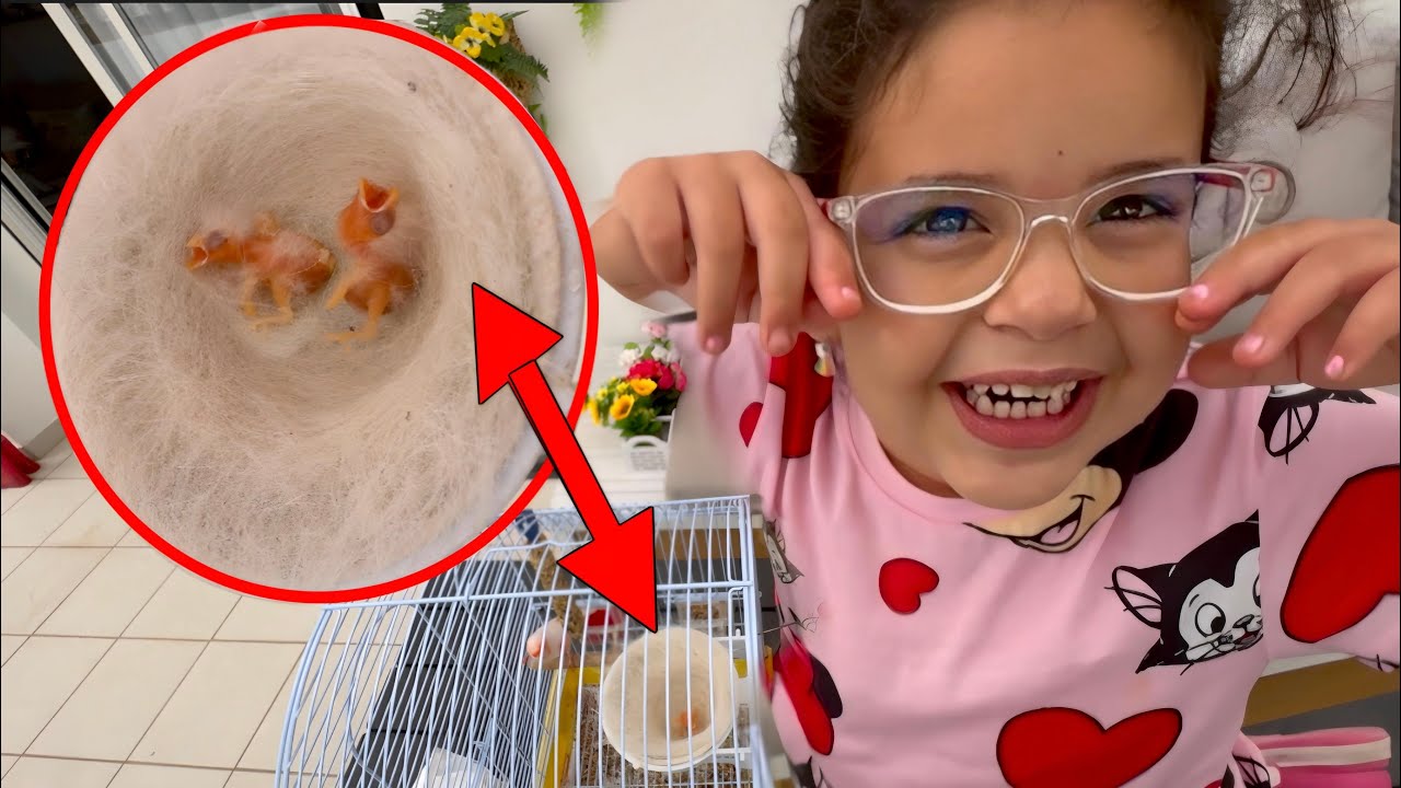 Mon petit oiseau a fait des bébés 🥰et préparation pour laid🥰