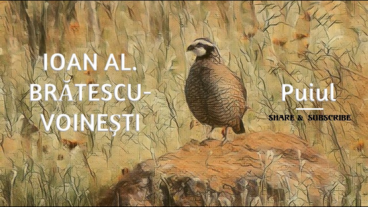 Ioan Al. #Brătescu-Voineşti | Puiul (cu #imagini)