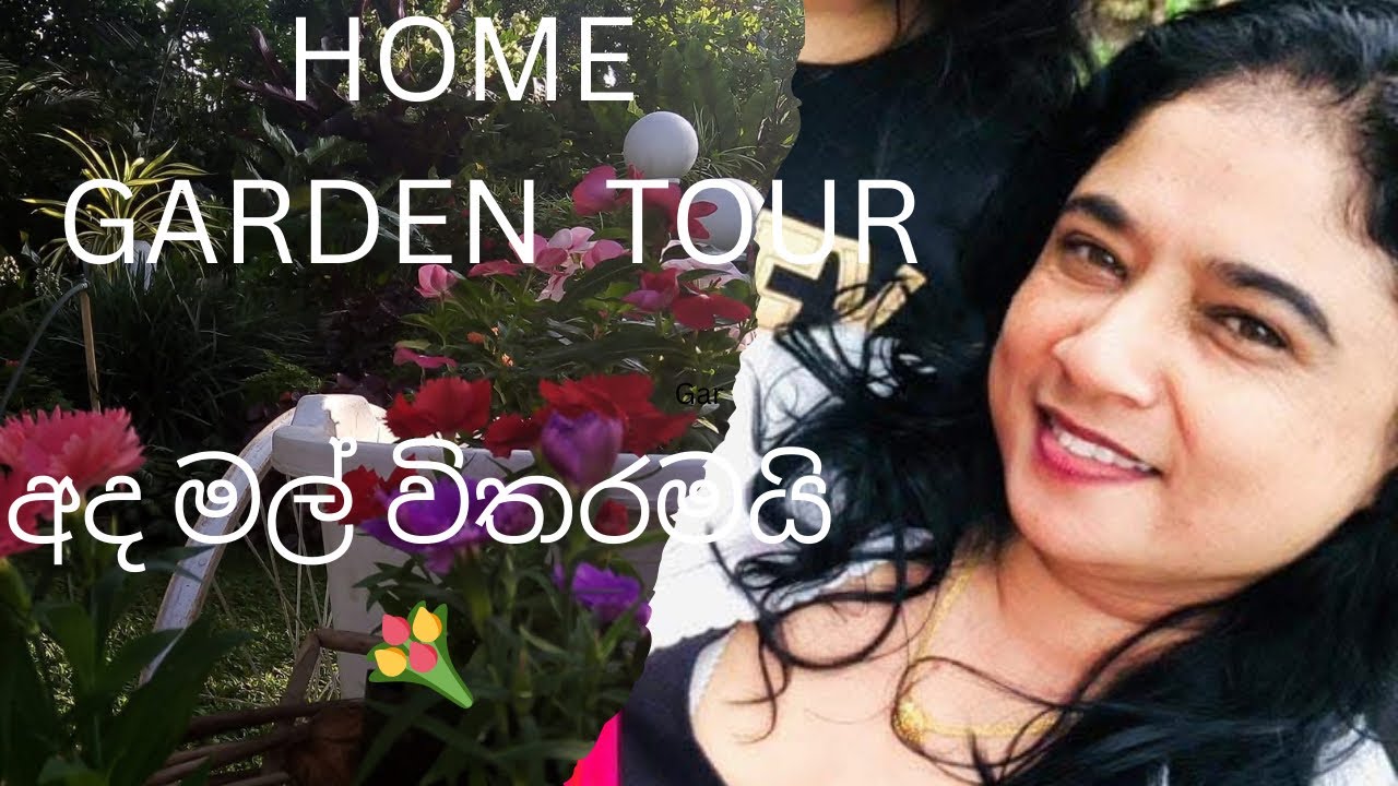 අදරණීයන් ගොඩ දෙනෙක්ගේ ඉල්ලීමක් මේ 🏕️❤️#myhomegarden #flowers #nature #garden #gardendecor 