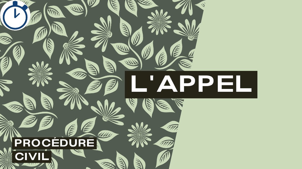 L'Appel : [Procédure civile]