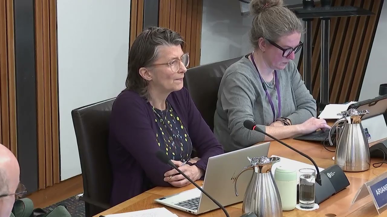 Local Government, Housing and Planning Committee - 20 January 2026