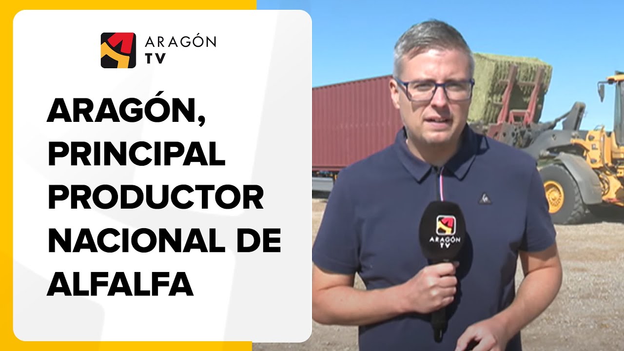 Aragón, principal productor nacional de Alfalfa
