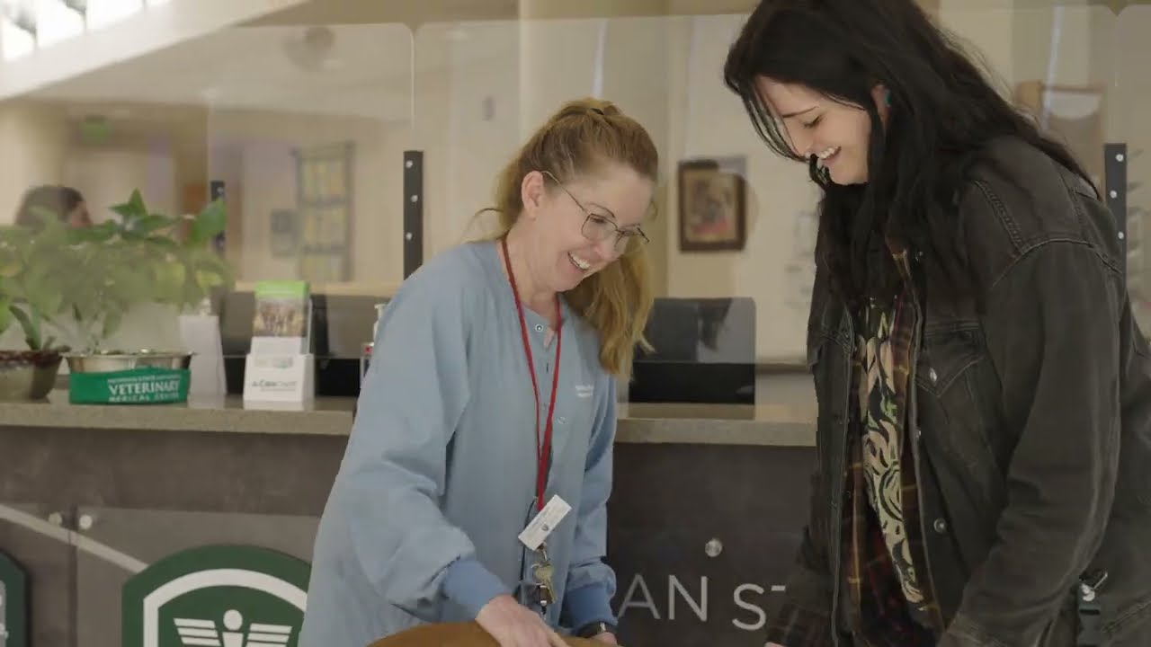 How to Succeed at a Veterinary Career Fair