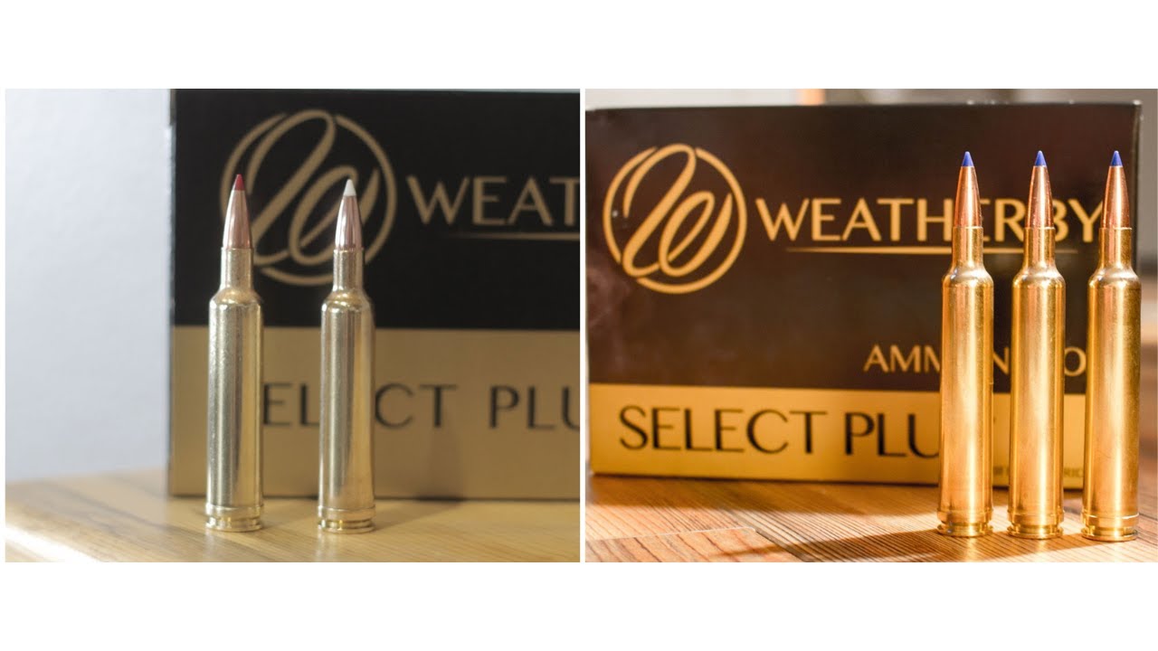 257 Weatherby vs 6.5-300 Weatherby: Magnum Madness Part 9