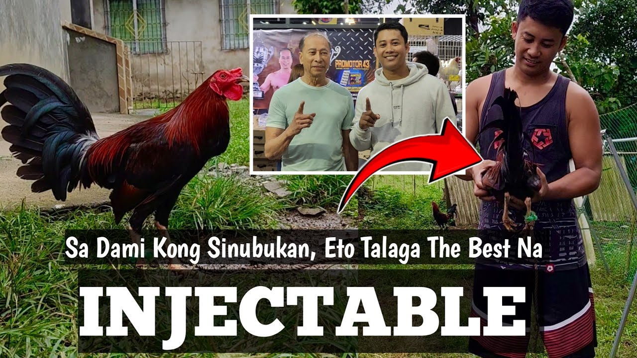 Ano ang Magandang Injectable Para Sa Manok | Bitamax | Linyada ng Mamay 
