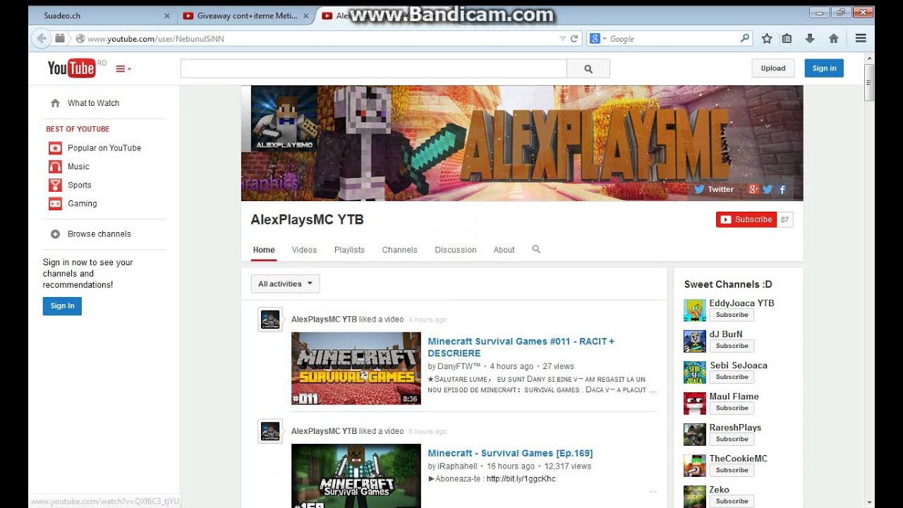 Castigator GiveAway Metin2 Elyps ^^
