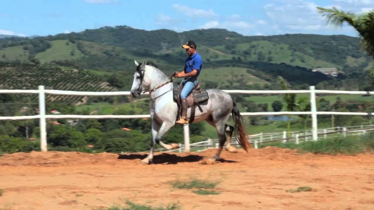 Bandeirante Recanto das Pedras - 50%