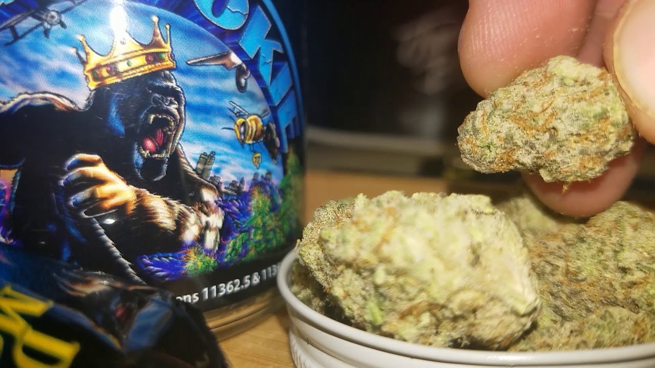 The Real king Cookie review mo.b.dank.and Jess1key