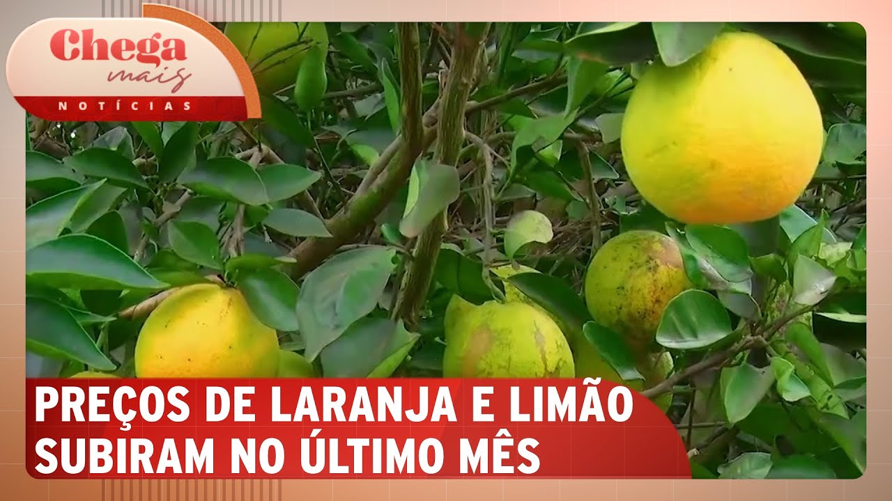 Preços de laranja e limão crescem; entenda o porquê  | Chega Mais Notícias (08/11/24)
