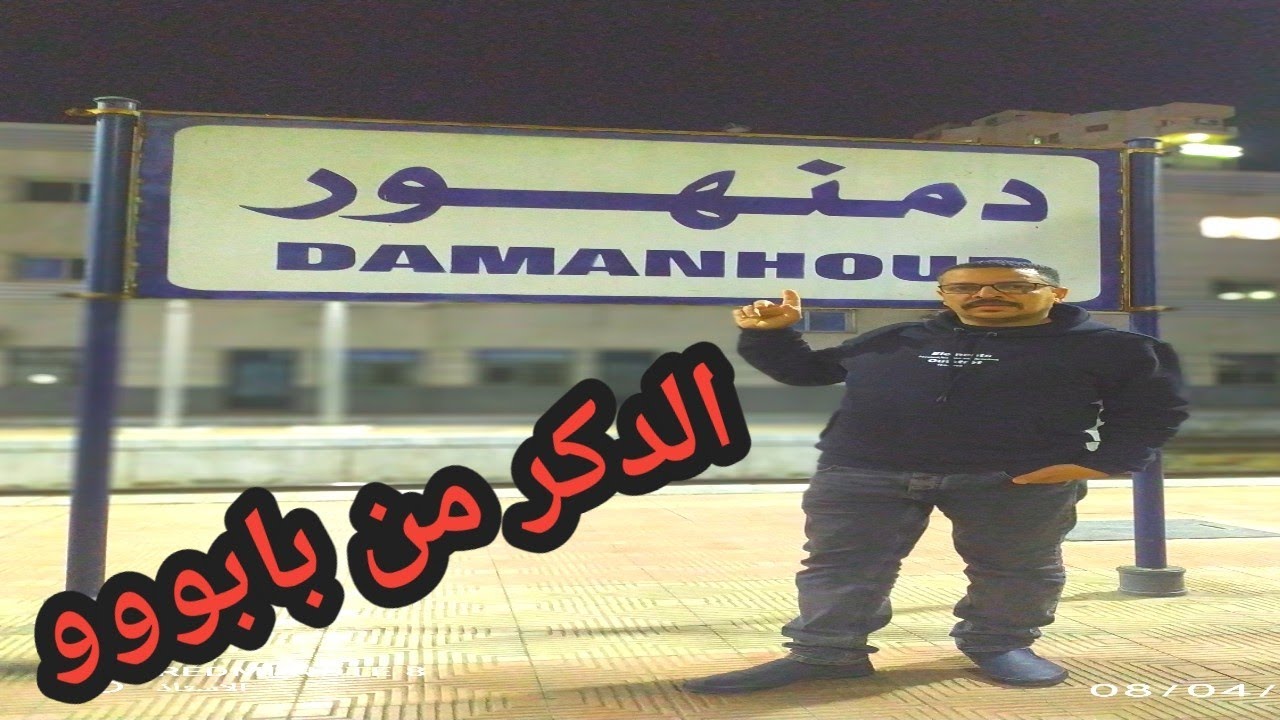 فلوج غيه حمام تسليم دكره نش الحمام من ارض دمنهور رامى ابودشيش طنطا #pigeon #رامى_ابودشيش #حمام