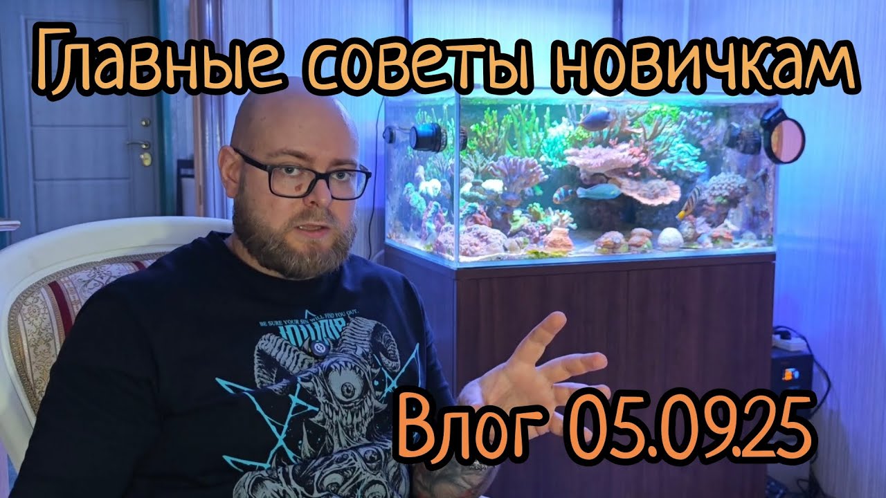 Влог 05.09.25 советы новичкам