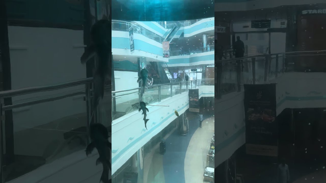 Mushrif Mall Abu Dhabi