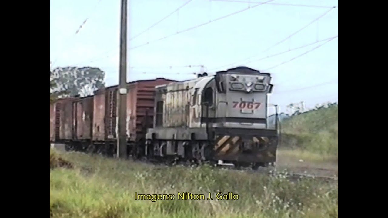 G12 Cabeça de Saúva - Coletânea de imagens
