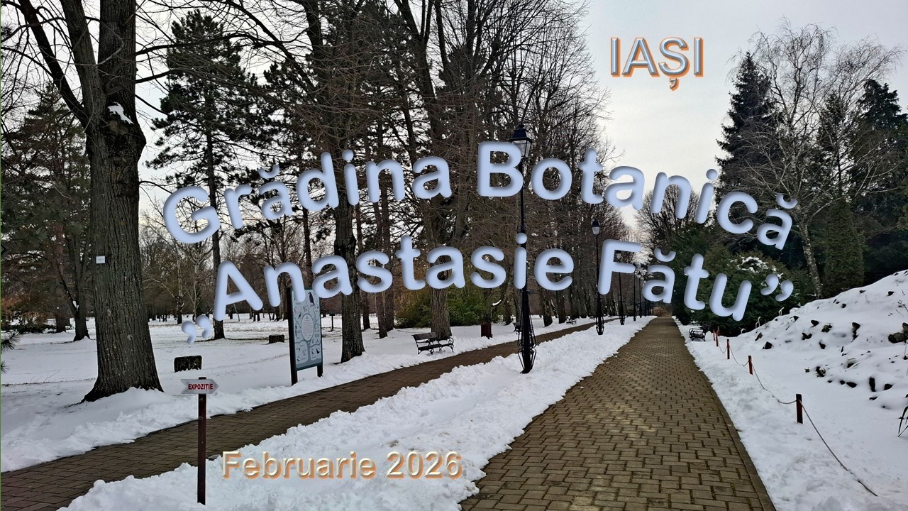 Azalee, camelii și alte flori exotice la Grădina Botanică Iași _ 2026 (By Felicia Popescu)