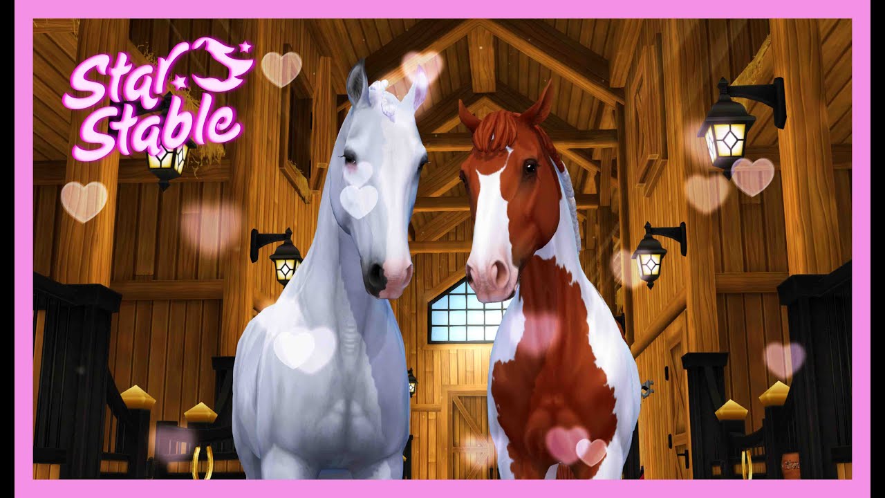 [Star Stable] Egy cicáról kapta a nevét! 🙀