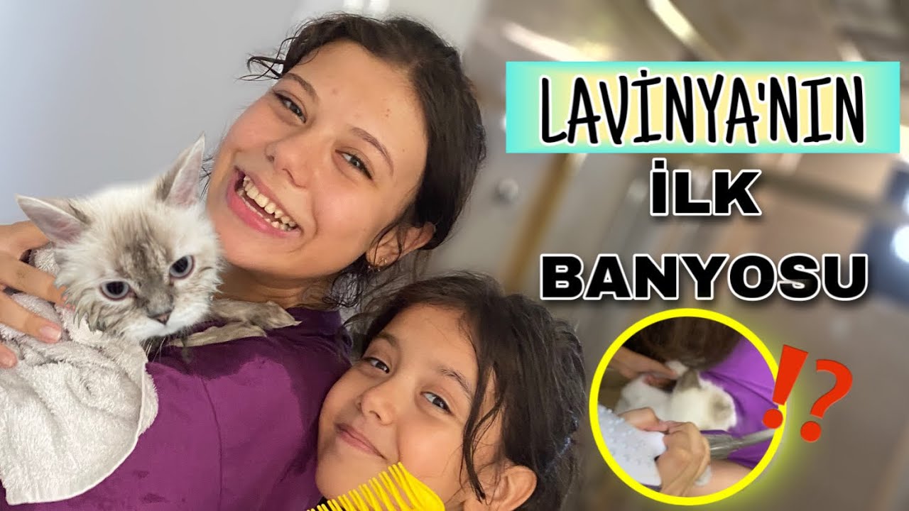 KEDİMİZ LAVİNYA'NIN İLK BANYOSU || Kedimiz Bizi Yıkadı Tişörtlerimizi Yırttı !!