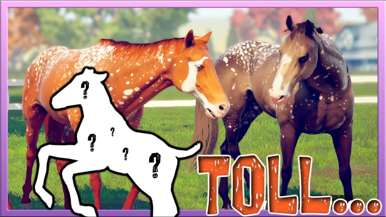 Da kann ja NUR WAS TOLLES rauskommen hat sie gesagt...🥵 Rival Stars Horse Racing DESKTOP EDITION #53