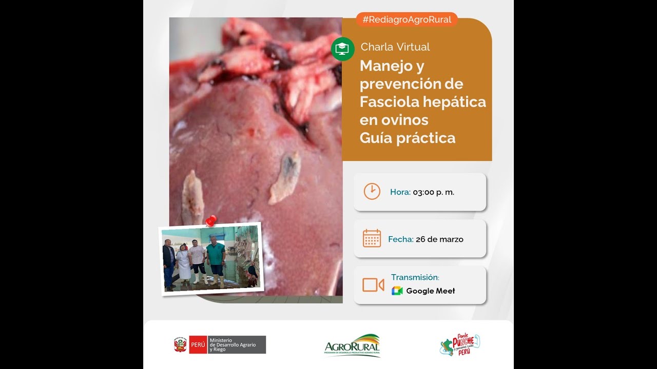 Mod 1 Manejo y prevención de Fasciola hepática en ovinos 26.03.2025