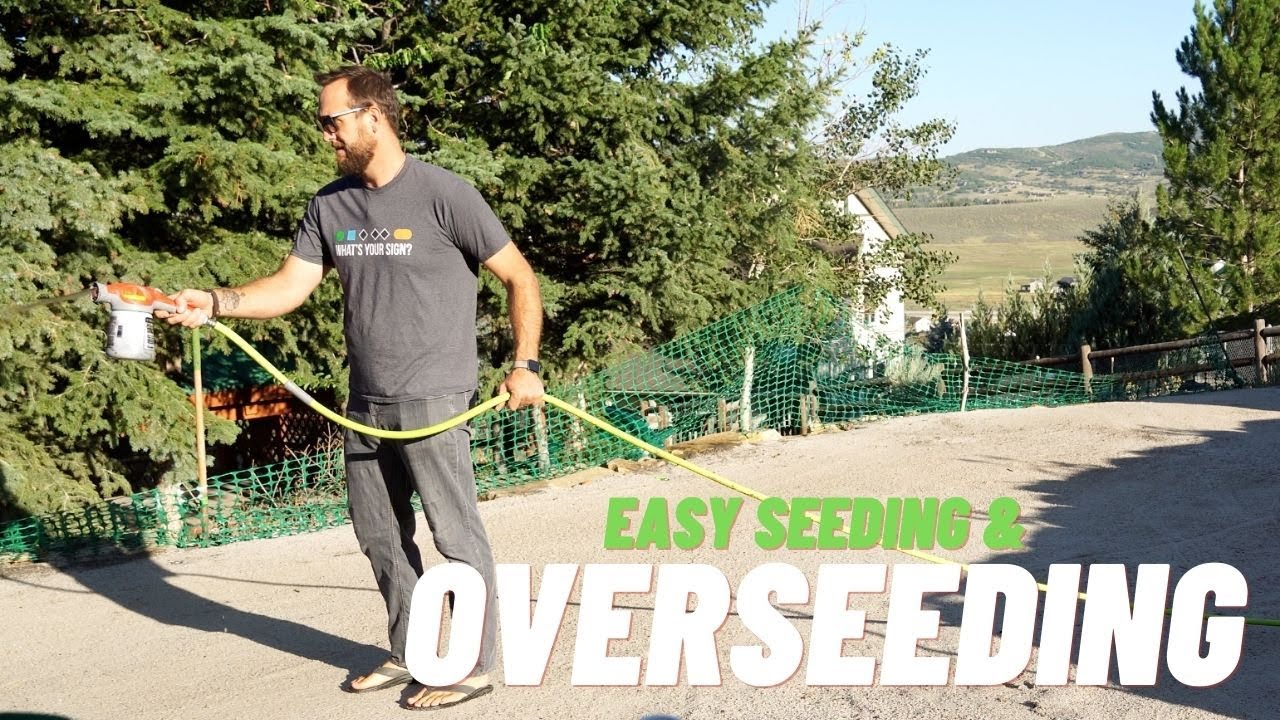 Seeding & Over Seeding The Lawn. **EASY**