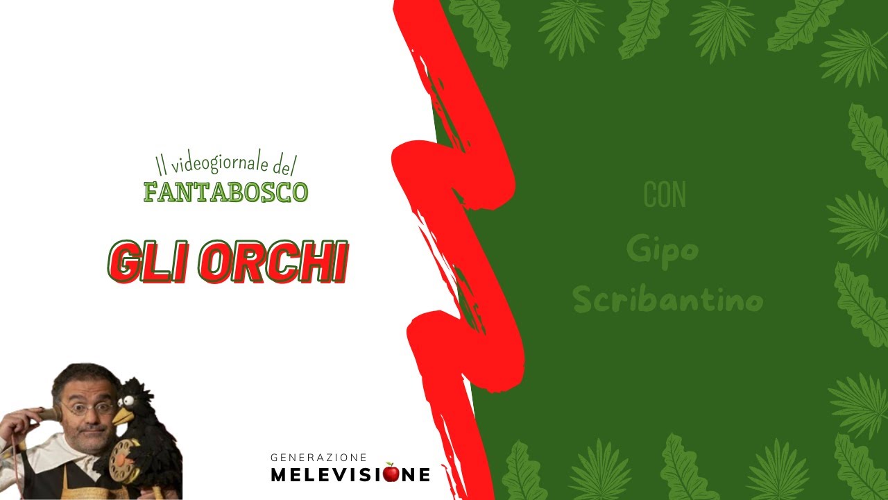 IL VIDEOGIORNALE DEL FANTABOSCO 📰 Gli Orchi