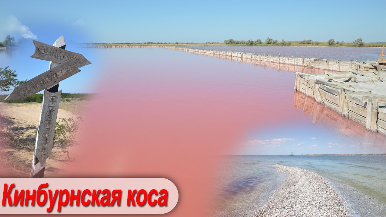 Кинбурнская коса: Геродотов лес, стрелка и розовые озера.