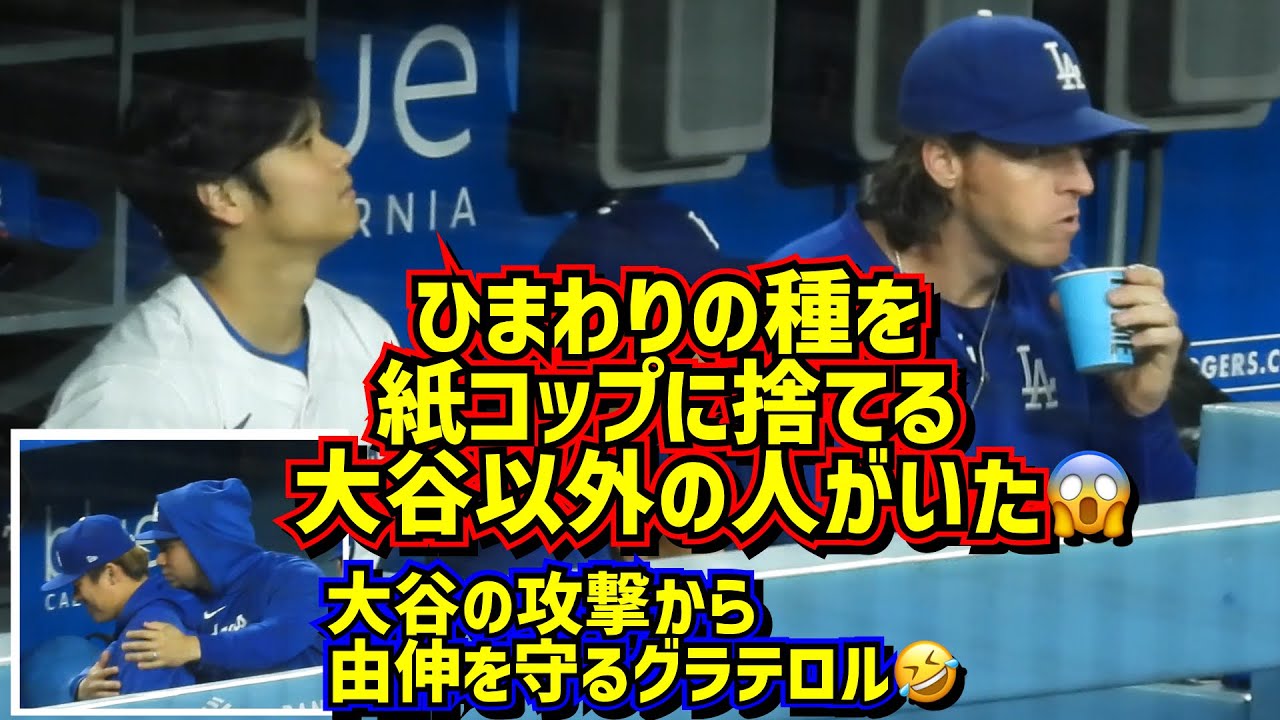 衝撃‼️大谷翔平以外にひまわりの種を紙コップに捨てる人がいました😱グラテロルの由伸愛❤️😂 【現地映像】ShoheiOhtani Dodgers