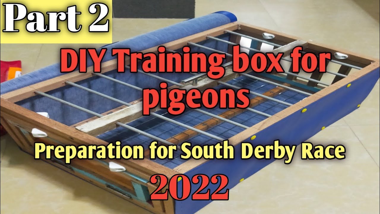 Part 2, DIY Training box for my pigeons|| Preparation for SDR 2022.#newbiefancier #pigeonracing