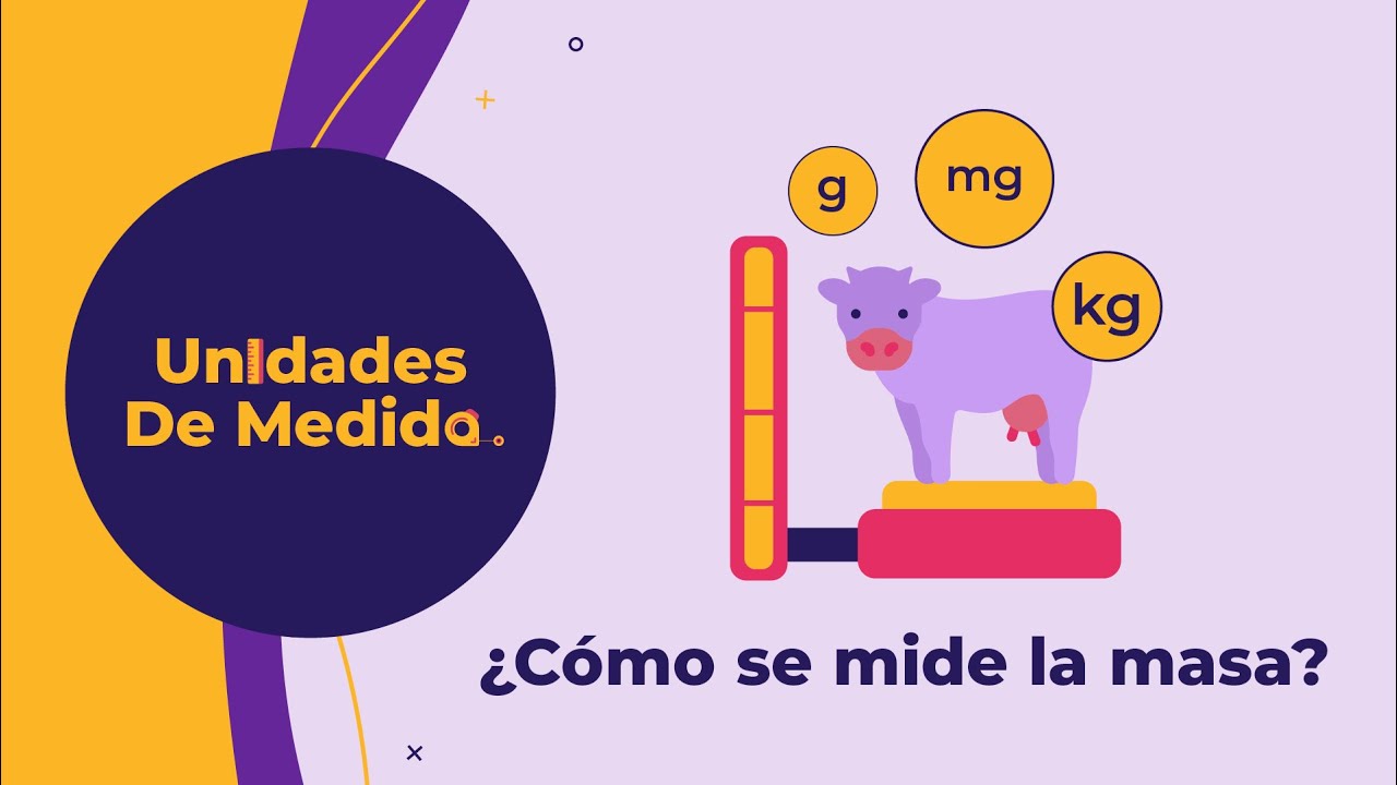 Como se mide la masa | Curso de Unidades de Medida