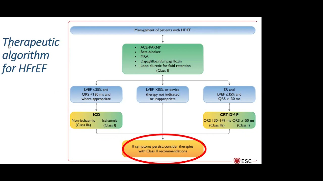 2021 ESC Heart failure Guidelines - Dr. Mary Atef