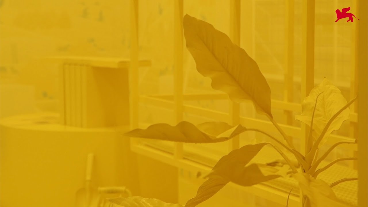 Biennale Architettura 2021 – Turkey