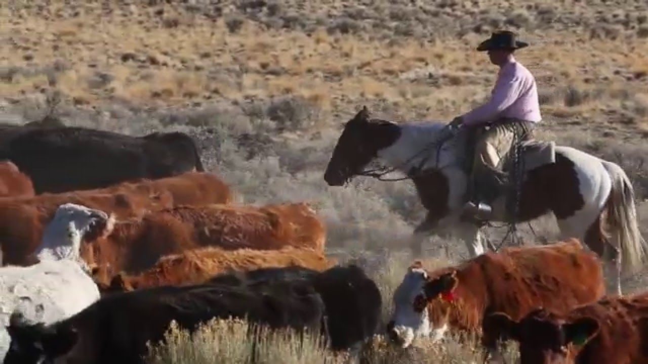 Harney County: Telling Our Story (trailer)