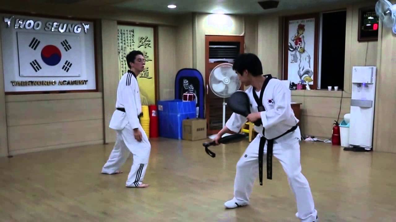 Korea Taekwondo Training 2013