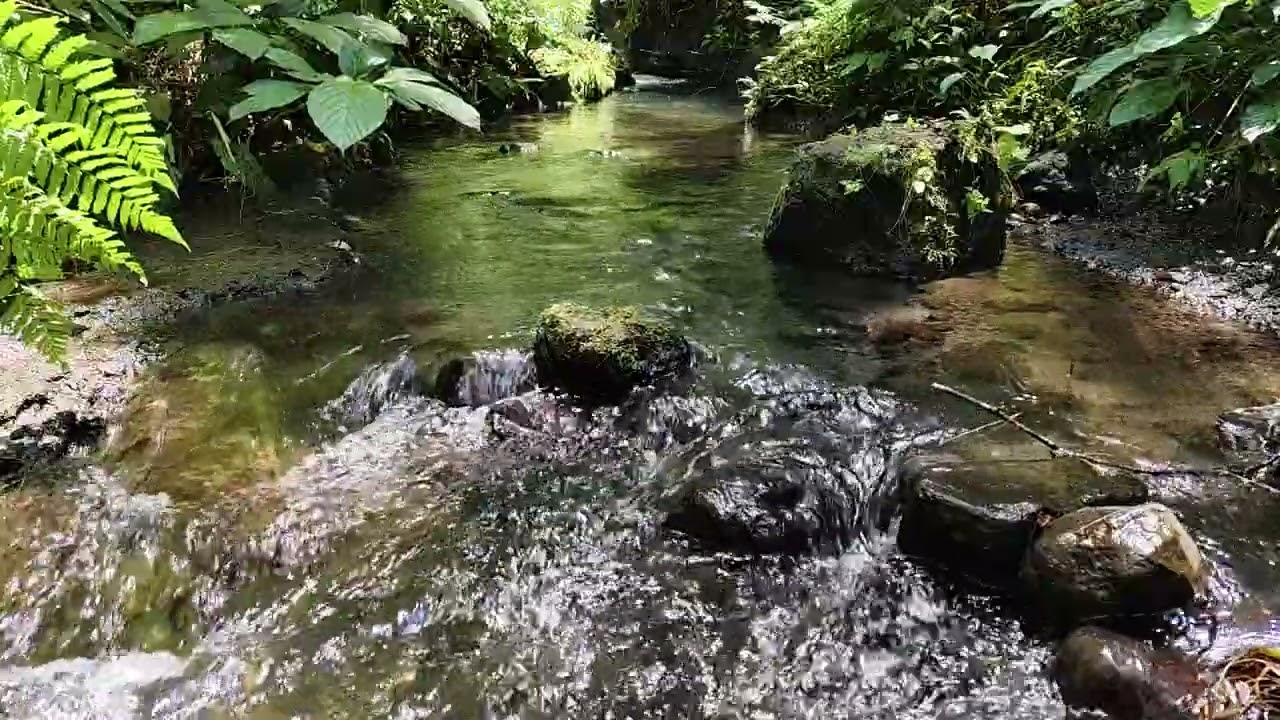 Rocky Creek Water Sounds for a Restful Sleep and Deep Relaxation