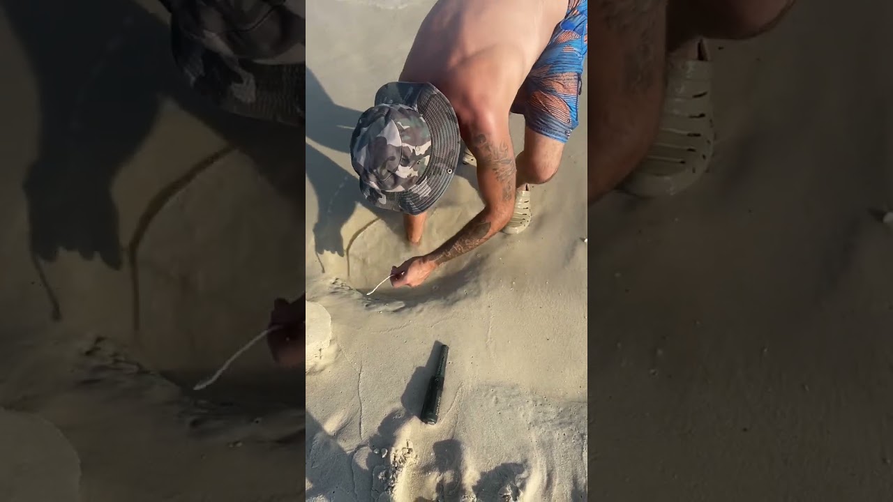Nokta Triple Score 10&rdquo; ring test in wet salt sand