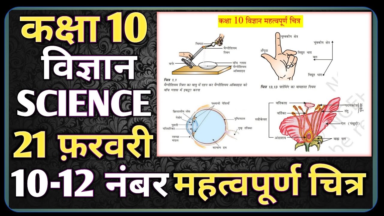 RBSE Class 10th Science Diagram  21 February 2026।। RBSE Class 10th Science Important diagram 2026