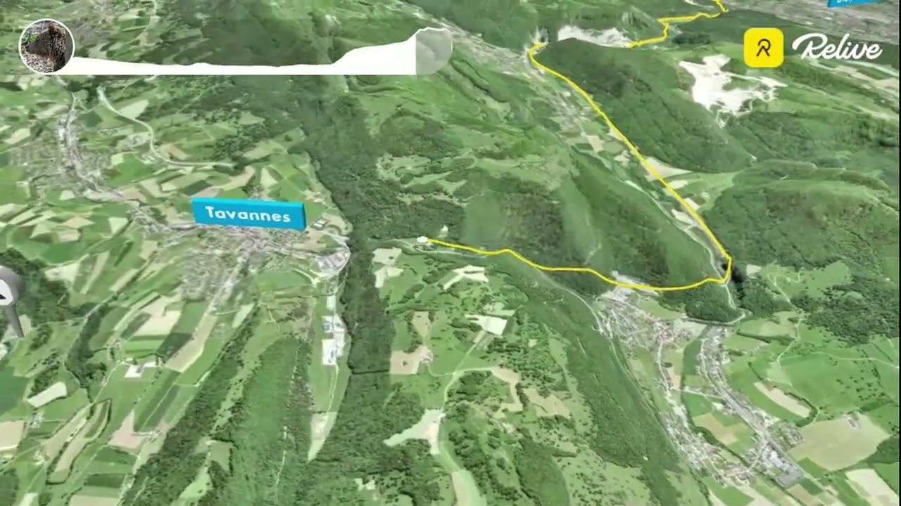 Transport von Holzträgern für die Celtor SA